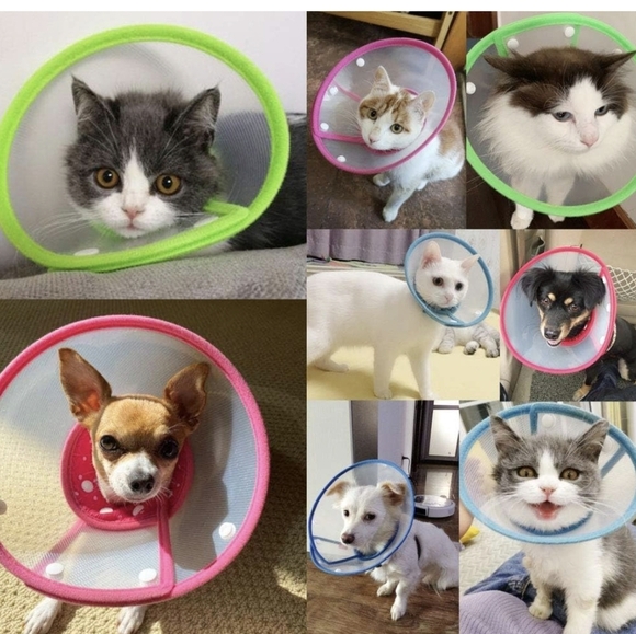 Pet Cone Soft Dotted Recovery Collar for pets After Surgery size Small 6.3-7.8" - Picture 2 of 8